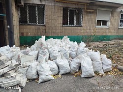 Стройняк